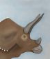 Preview: Triceratops - Leinwandbild 60x80cmx2cm